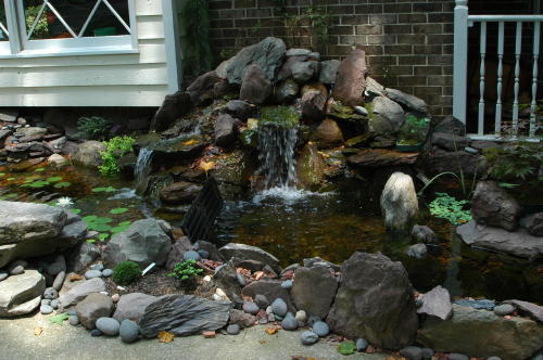 Temporary dividers protect the baby fish from the adults 